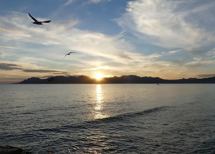 Montmorency Канны